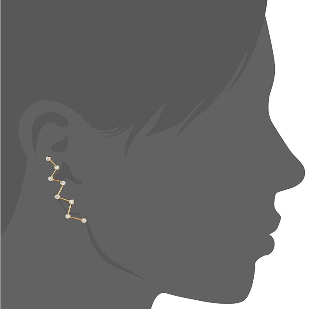nOir Zig Zag Creeper Earring